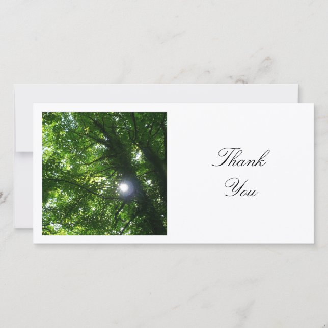 Square Photo - Sun Through the Trees Thank You Card (Front)