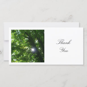 Square Photo - Sun Through the Trees Thank You Card