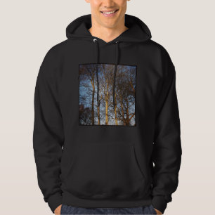 Square Photo - Sunlit Winter Trees Hoodie