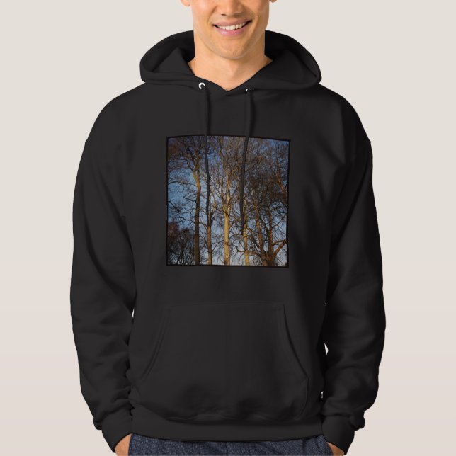 Square Photo - Sunlit Winter Trees Hoodie (Front)