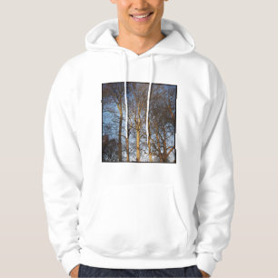 Square Photo - Sunlit Winter Trees Hoodie