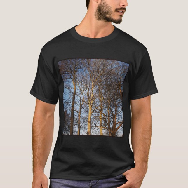 Square Photo - Sunlit Winter Trees T-Shirt (Front)
