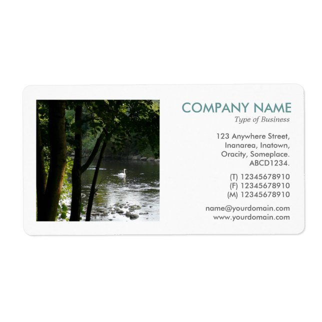 Square Photo - Swan on the River Label (Front)