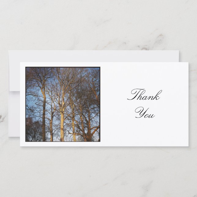 Square Photo - Trees Thank You Card (Front)
