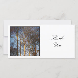 Square Photo - Trees Thank You Card