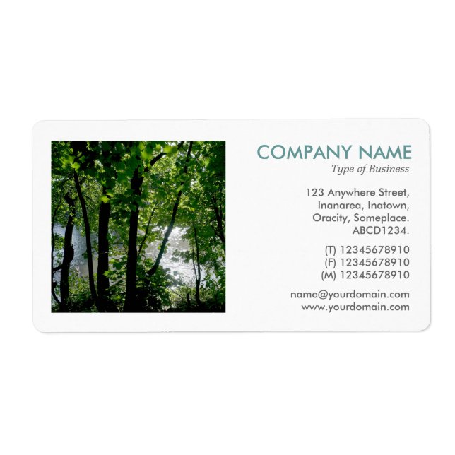 Square Photo - Tress by a River Label (Front)
