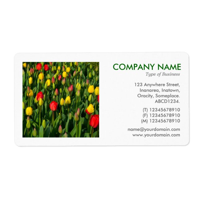 Square Photo - Tulips Label (Front)