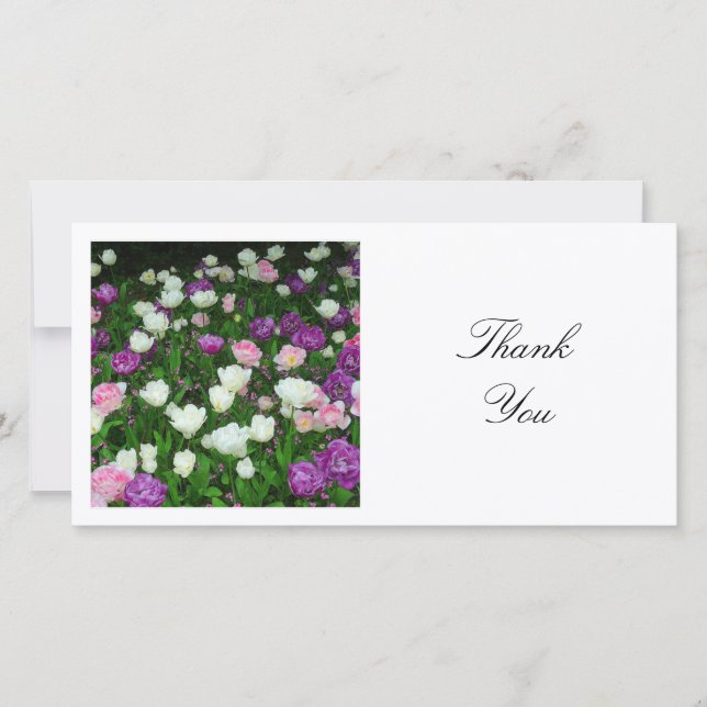 Square Photo - Tulips Thank You Card (Front)