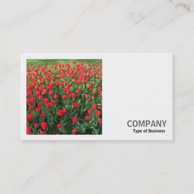 Square Photo (v2) - Bed of Red Tulips 01 Business Card (Front)