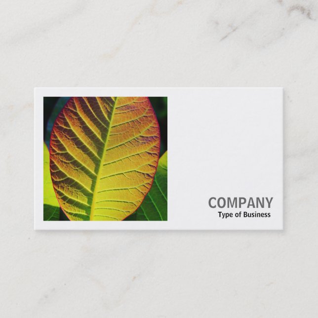 Square Photo (v2) - Colorful Leaf Business Card (Front)