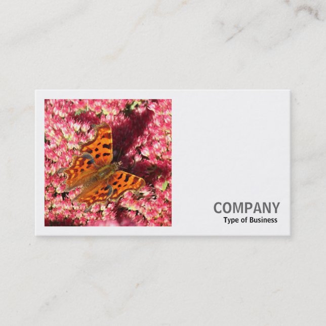 Square Photo (v2) - Comma Butterfly on Sedum Business Card (Front)