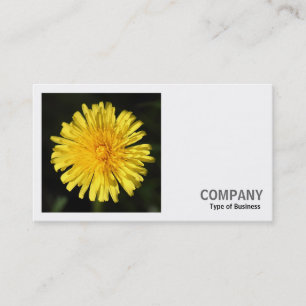 Square Photo (v2) - Dandelion Business Card