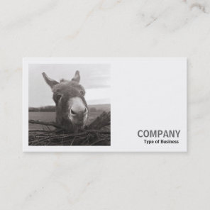 Square Photo (v2) - Friendly Donkey Business Card