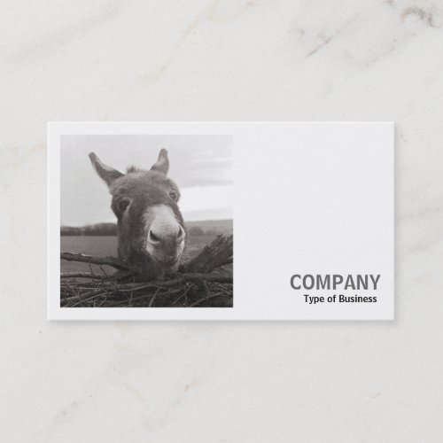 Square Photo v2 _ Friendly Donkey Business Card