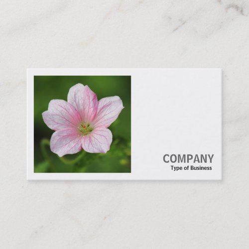 Square Photo v2 _ Geranium Business Card