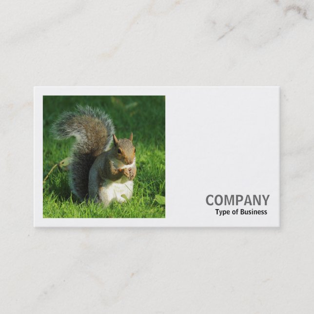 Square Photo (v2) - Grey Squirrel Eating Nuts Business Card (Front)