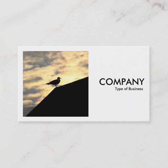 Square Photo (v2) - Herring Gull Sunset Business Card (Front)