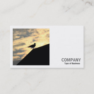 Square Photo (v2) - Herring Gull Sunset Business Card