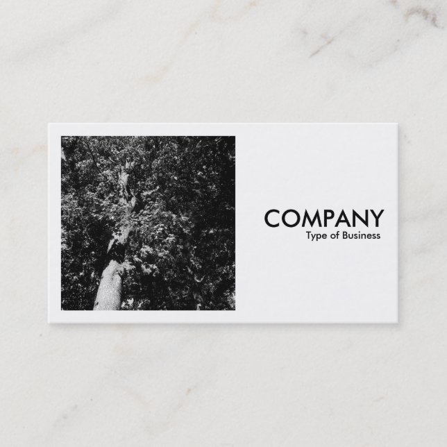 Square Photo (v2) - London Plane Tree Business Card (Front)