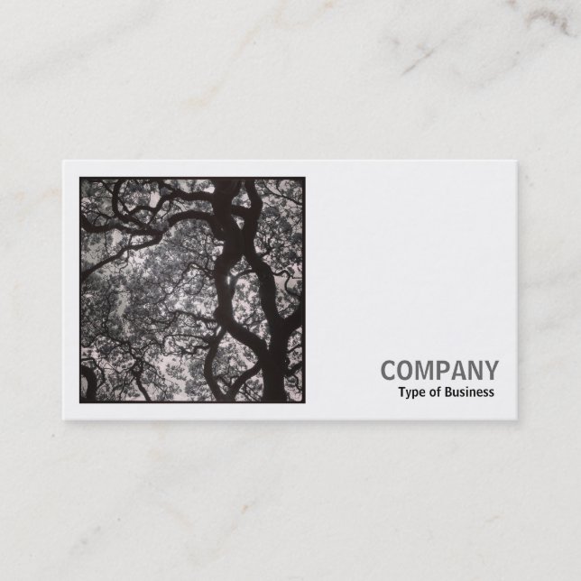 Square Photo (v2) - Magnolia Tree in Blossom 02 Business Card (Front)