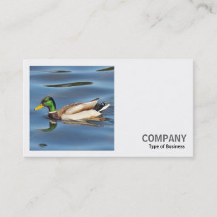 Square Photo (v2) - Mallard Duck Business Card