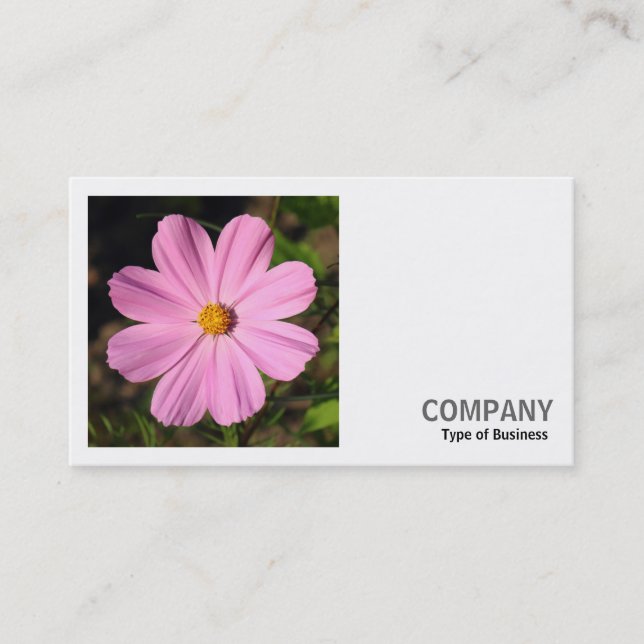 Square Photo (v2) - Pink Cosmos Business Card (Front)