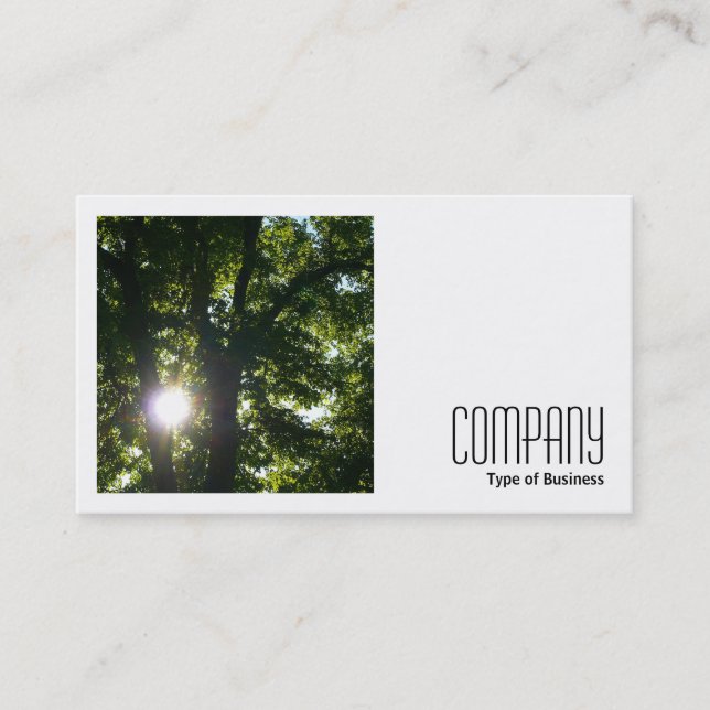 Square Photo (v2) - Sun Through Trees Business Card (Front)