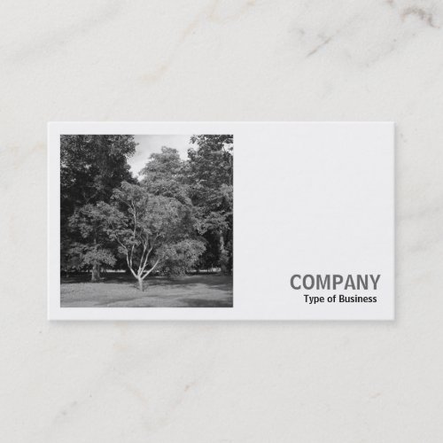 Square Photo v2 _ Trees Bute Park Cardiff Business Card