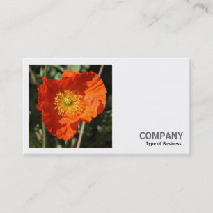 Square Photo (v2) - Welsh Poppy (Orange) Business Card
