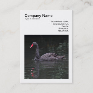 Square Photo (v3) - Black Swan Business Card