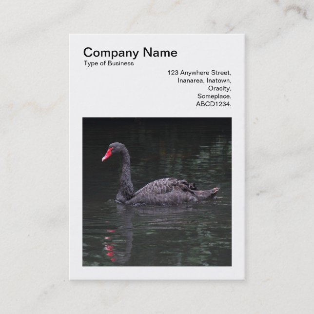 Square Photo (v3) - Black Swan Business Card (Front)