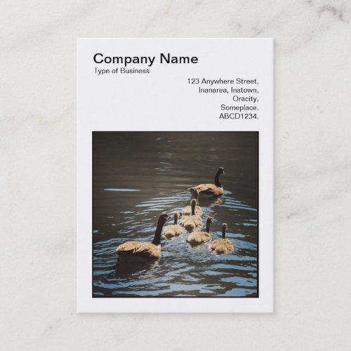 Square Photo v3 _ Canada Geese and Goslings Business Card