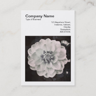 Square Photo (v3) - Chrysanthemum Business Card