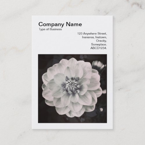 Square Photo (v3) - Chrysanthemum Business Card
