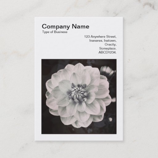 Customizable Square Photo (v3) - Chrysanthemum Business Card