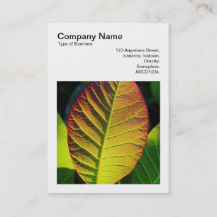 Square Photo (v3) - Colorful Leaf Business Card