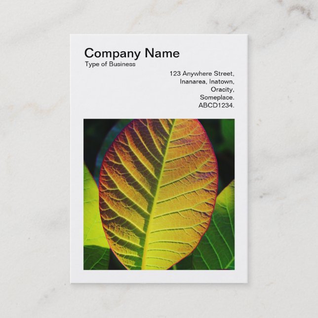 Square Photo (v3) - Colorful Leaf Business Card (Front)