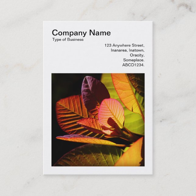 Square Photo (v3) - Colorful Leaves Business Card (Front)