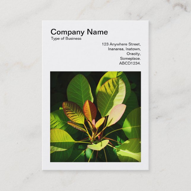Square Photo (v3) - Colorful Sunlit Leaves Business Card (Front)