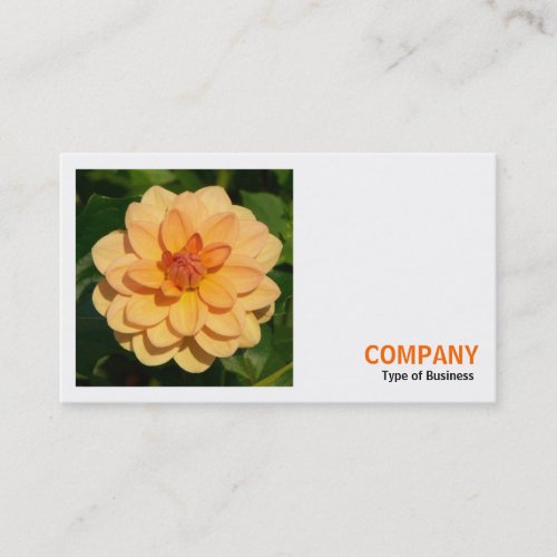 Square Photo v3 _ Dahlia David Howard Business Card