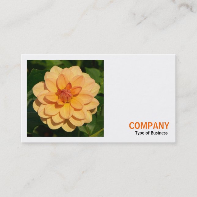 Square Photo (v3) - Dahlia 'David Howard' Business Card (Front)