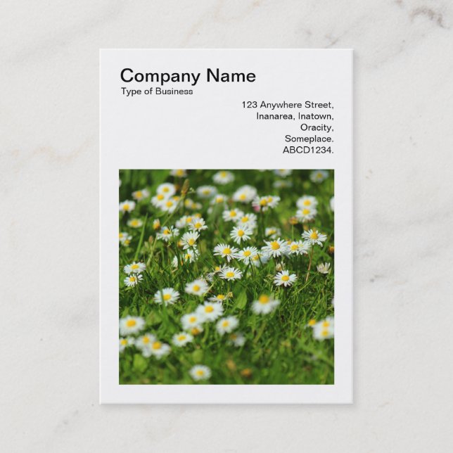 Square Photo (v3) - Daisy Meadow Business Card (Front)