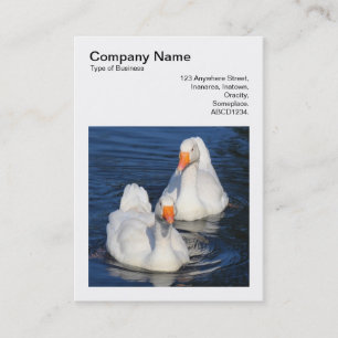 Square Photo (v3) - Emden Geese Business Card