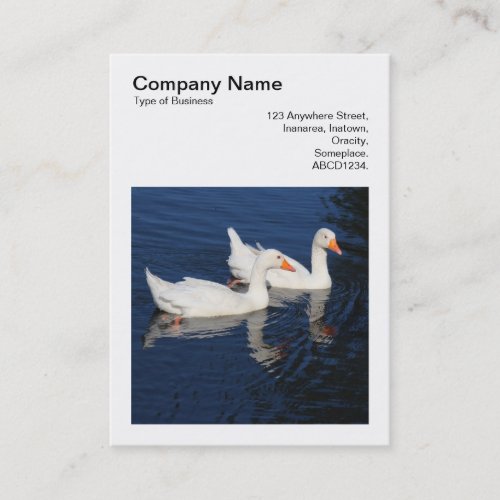 Square Photo v3 _ Emden Geese Business Card