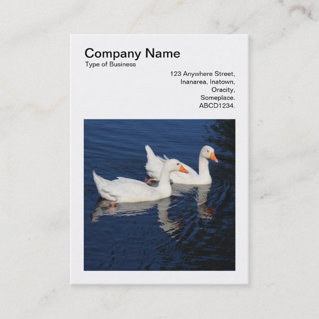 Square Photo (v3) - Emden Geese Business Card (Front)