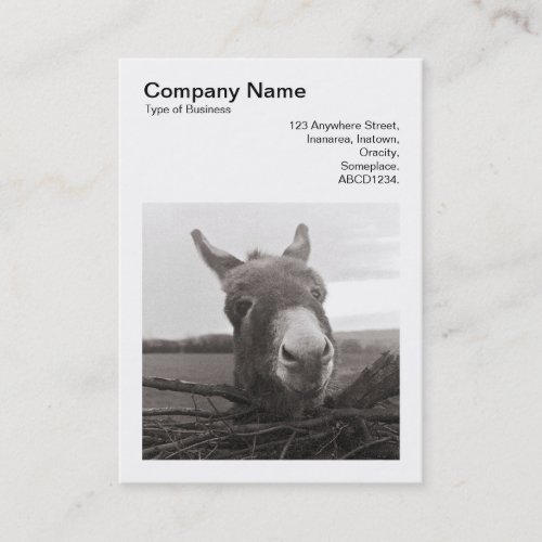 Square Photo v3 _ Friendly Donkey Business Card