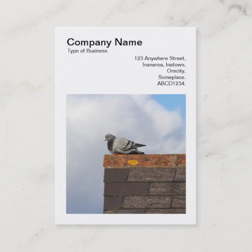 Square Photo v3 _ Good Morning Pigeon Business Card