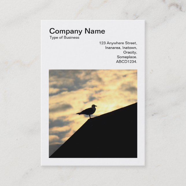 Square Photo (v3) - Herring Gull Sunset Business Card (Front)