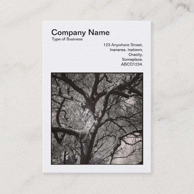 Square Photo (v3) - Magnolia Tree Branches Business Card (Front)