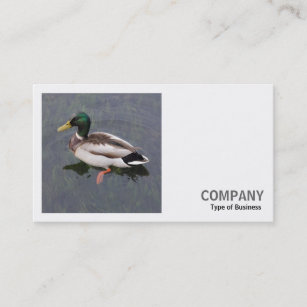 Square Photo (v3) - Mallard Duck Business Card